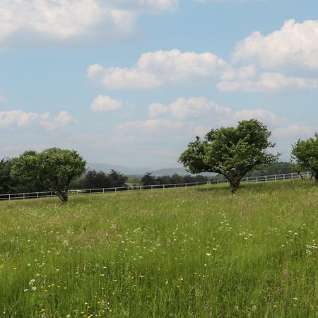 Fordie East Cottage Кріфф Екстер'єр фото